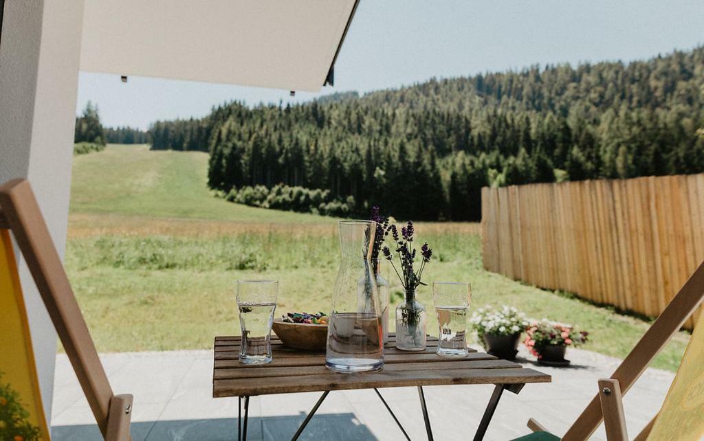 Appartements Almnest Schladming Kültér fotó