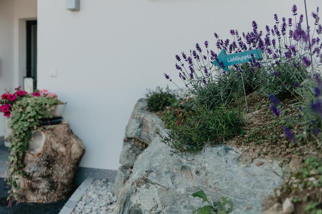 Appartements Almnest Schladming Kültér fotó
